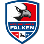 Heilbronner Falken GmbH & Co.KG